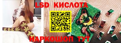 гашик Можга