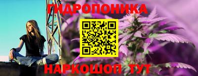 гашик Можга