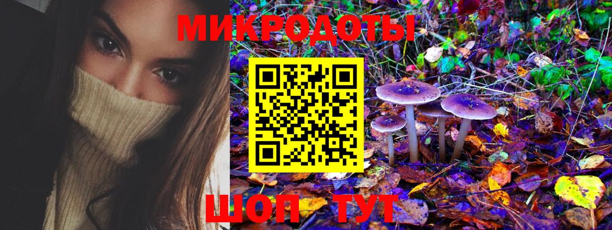 Псилоцибиновые грибы прущие грибы Усть-Джегута