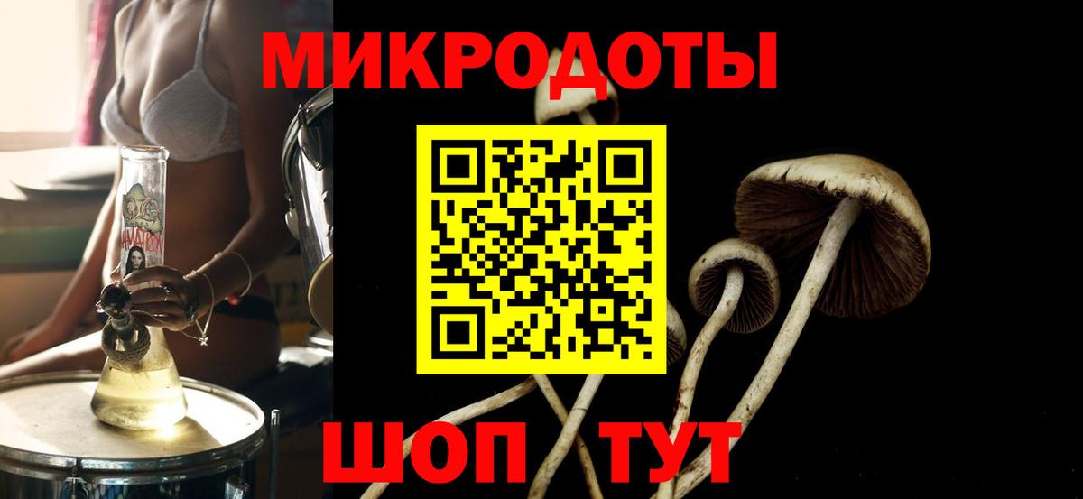 Псилоцибиновые грибы Psilocybine cubensis  Псилоцибиновые грибы Psilocybe  Вход с VPN  Усть-Джегута 